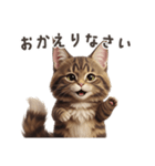 【日本語】 メインクーン スタンプ 1（個別スタンプ：9）
