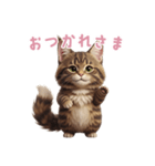 【日本語】 メインクーン スタンプ 2（個別スタンプ：1）