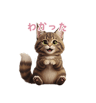 【日本語】 メインクーン スタンプ 2（個別スタンプ：7）