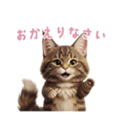 【日本語】 メインクーン スタンプ 2（個別スタンプ：9）
