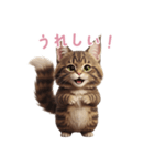 【日本語】 メインクーン スタンプ 2（個別スタンプ：14）