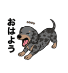 名前入りダックススムースシルバーダップル（個別スタンプ：2）