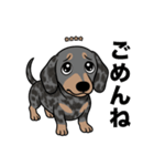 名前入りダックススムースシルバーダップル（個別スタンプ：4）