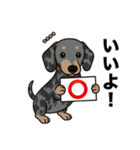 名前入りダックススムースシルバーダップル（個別スタンプ：5）