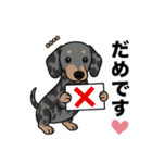 名前入りダックススムースシルバーダップル（個別スタンプ：6）