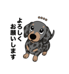 名前入りダックススムースシルバーダップル（個別スタンプ：7）