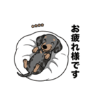 名前入りダックススムースシルバーダップル（個別スタンプ：8）