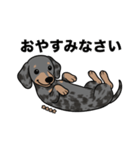 名前入りダックススムースシルバーダップル（個別スタンプ：9）