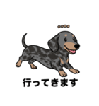 名前入りダックススムースシルバーダップル（個別スタンプ：11）