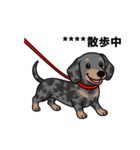 名前入りダックススムースシルバーダップル（個別スタンプ：13）