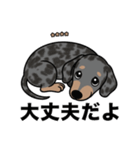 名前入りダックススムースシルバーダップル（個別スタンプ：15）