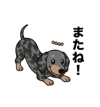 名前入りダックススムースシルバーダップル（個別スタンプ：16）