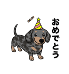 名前入りダックススムースシルバーダップル（個別スタンプ：17）