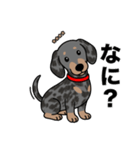 名前入りダックススムースシルバーダップル（個別スタンプ：21）