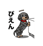 名前入りダックススムースシルバーダップル（個別スタンプ：23）