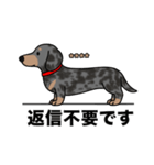 名前入りダックススムースシルバーダップル（個別スタンプ：24）