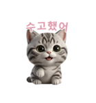 【韓国語】 アメリカンショートヘア 2（個別スタンプ：1）