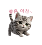 【韓国語】 アメリカンショートヘア 2（個別スタンプ：2）
