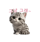 【韓国語】 アメリカンショートヘア 2（個別スタンプ：3）