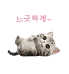 【韓国語】 アメリカンショートヘア 2（個別スタンプ：5）