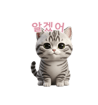 【韓国語】 アメリカンショートヘア 2（個別スタンプ：7）