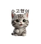 【韓国語】 アメリカンショートヘア 1（個別スタンプ：1）