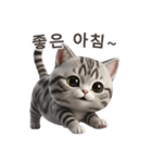 【韓国語】 アメリカンショートヘア 1（個別スタンプ：2）