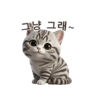 【韓国語】 アメリカンショートヘア 1（個別スタンプ：3）