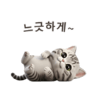 【韓国語】 アメリカンショートヘア 1（個別スタンプ：5）