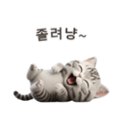 【韓国語】 アメリカンショートヘア 1（個別スタンプ：6）