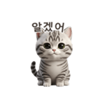 【韓国語】 アメリカンショートヘア 1（個別スタンプ：7）