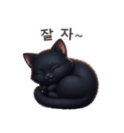 【韓国語】 黒猫 スタンプ 1（個別スタンプ：11）