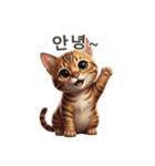 【韓国語】 ベンガル スタンプ 1（個別スタンプ：4）