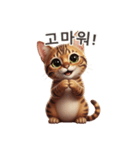 【韓国語】 ベンガル スタンプ 1（個別スタンプ：10）