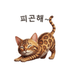 【韓国語】 ベンガル スタンプ 1（個別スタンプ：13）