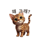 【韓国語】 ベンガル スタンプ 1（個別スタンプ：15）