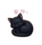【韓国語】 黒猫 スタンプ 2（個別スタンプ：11）