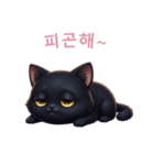 【韓国語】 黒猫 スタンプ 2（個別スタンプ：13）