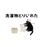 白ニット帽の黒猫スタンプ VOL.3（個別スタンプ：20）