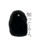 黒い者たち（個別スタンプ：9）