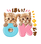 大好き♡にゃんこ（個別スタンプ：1）