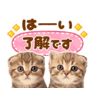 大好き♡にゃんこ（個別スタンプ：2）