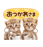 大好き♡にゃんこ（個別スタンプ：5）