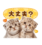 大好き♡にゃんこ（個別スタンプ：10）