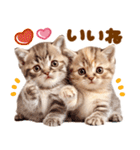 大好き♡にゃんこ（個別スタンプ：13）