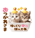 大好き♡にゃんこ（個別スタンプ：20）