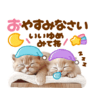 大好き♡にゃんこ（個別スタンプ：22）