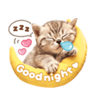 大好き♡にゃんこ（個別スタンプ：23）