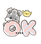 名前が入る★愛犬♡シュナウザーの気づかい（個別スタンプ：1）