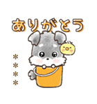 名前が入る★愛犬♡シュナウザーの気づかい（個別スタンプ：9）